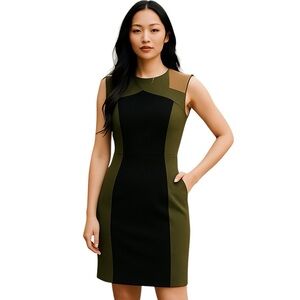 PREMISE COLORBLOCK SHEATH SHIFT CAREER OFFICE BLACK TAN MOSS GREEN DRESS 8